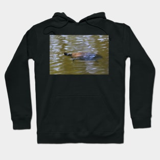 turtle swimming at Trojan pond, near Goble, Oregon 2 Hoodie